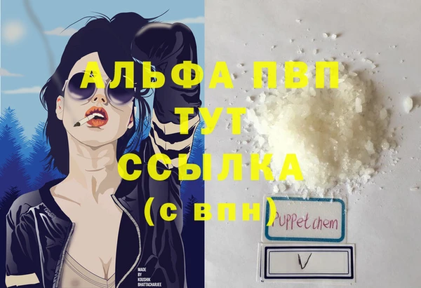 трава Аркадак