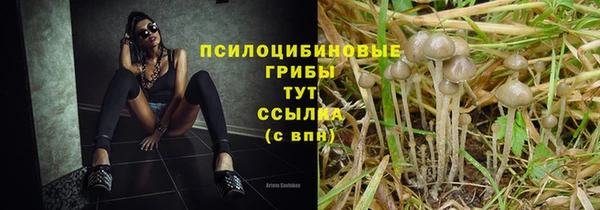 трава Аркадак