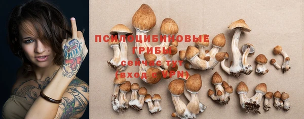 прущая мука Армянск