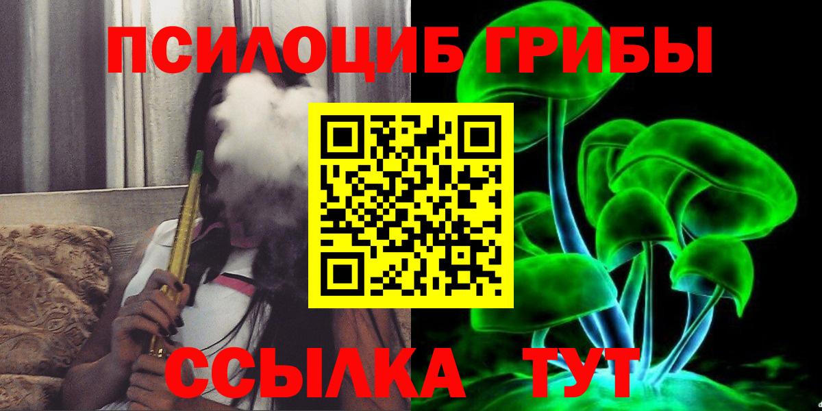 Псилоцибиновые грибы Psilocybe Кирово-Чепецк