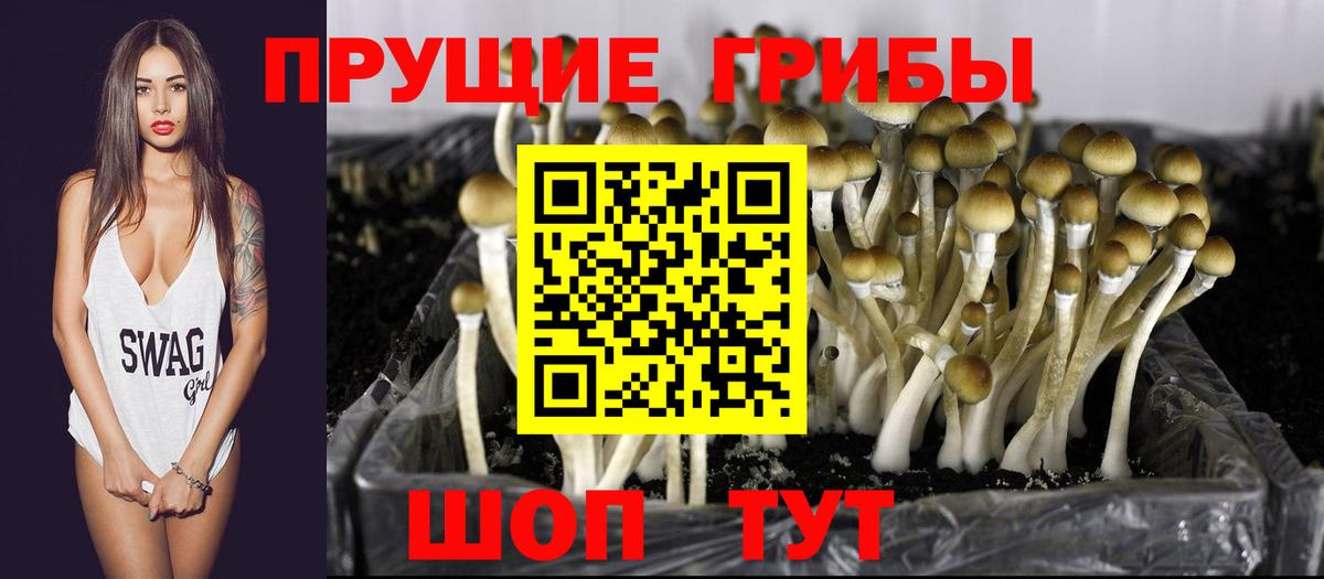 Канабис  Кирово-Чепецк  Как найти наркотики?  ЭКСТАЗИ  Меф кристаллы  Вход с VPN  Мефедрон  Альфа ПВП СК   Метамфетамин  ГАШ  Гашиш  COCAIN 