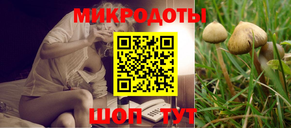 Галлюциногенные грибы Psilocybine cubensis  Псилоцибиновые грибы MAGIC MUSHROOMS  Кирово-Чепецк  Вход с VPN 